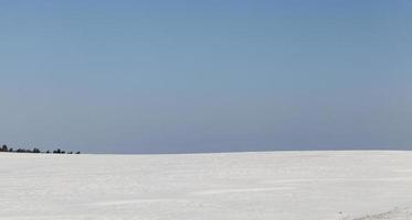 campo de nieve, invierno foto