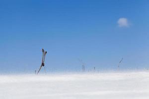 invierno con nieve cayendo foto