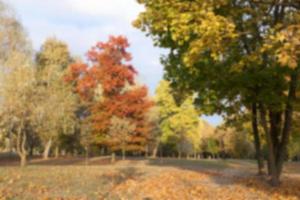 otoño en el parque foto