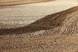 plowed land for cereal photo