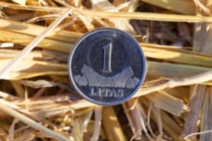 coin in the straw photo