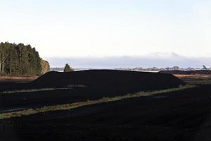 extraction of peat photo