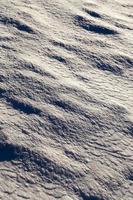 under snow, close up photo