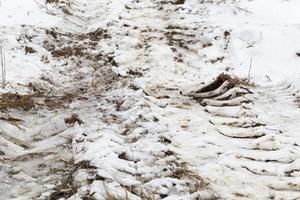 rastros del coche en la nieve foto