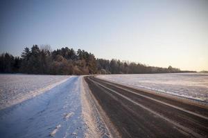 Winter landscape in the field photo