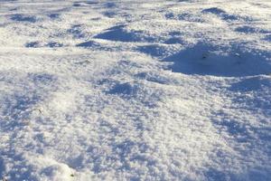 After snowfall, close up photo