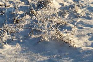 Snow drifts in winter photo