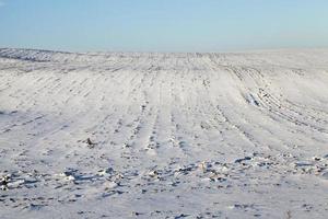 ventisqueros en invierno foto