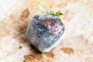 Rotten strawberry, close up photo