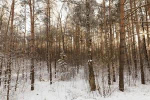 día de invierno después de una nevada foto