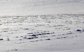 Snow drifts in winter photo