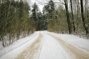 details of the snow covered road in forest photo