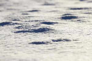 Snow drifts in winter   snow photographed in the winter season, which appeared after a snowfall. close up, photo