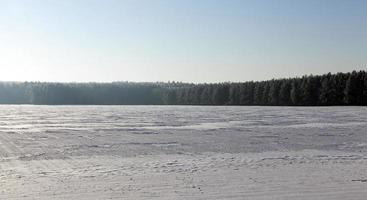 Snow drifts in winter photo