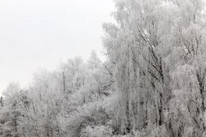 día de invierno después de una nevada foto