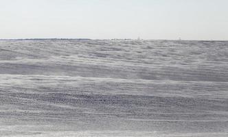 agricultural field in winter photo