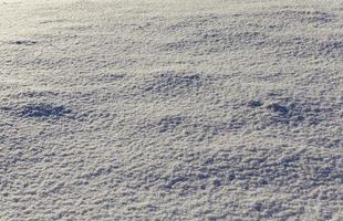 Snow drifts in winter photo