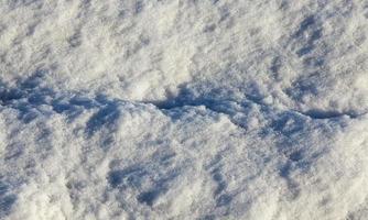 snow photo, close up   Snow surface after snowfall in the winter season. Close up with shallow depth of field. photo