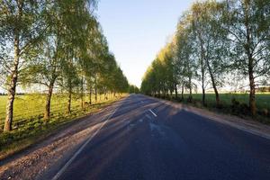 asphalt road , spring photo