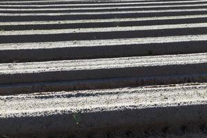 agricultural fields with furrows photo