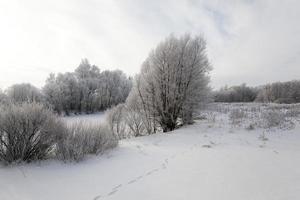 Winter Park , snow. photo