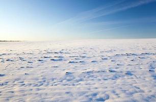 the field covered with snow photo