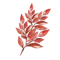 les feuilles d'un arbre mort aquarelle png