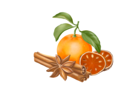 illustrationen och isoleringsbilden av apelsin, kanel, anis och torra kvitten, handritad, höststämning.g
