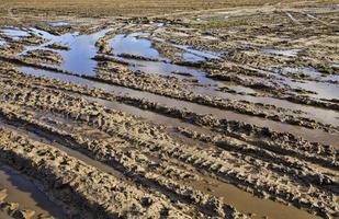 track on the soil photo