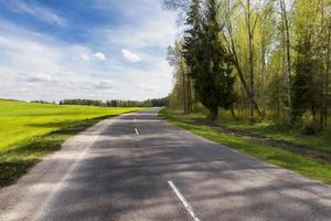 paved road, forest and field photo