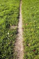 footpath in the field photo