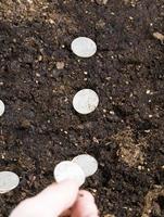 the hand of a man with coins photo