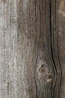 old wooden surface photo