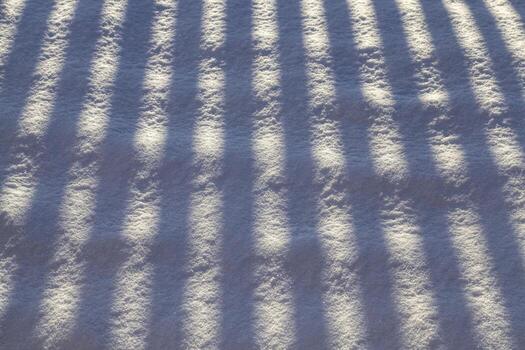 thin and long striped shadows photo