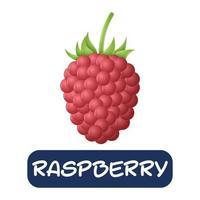 cartoon raspberry fruit vector isolated on white background