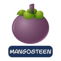 cartoon mangosteen fruit vector isolated on white background