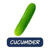 cartoon cucumber vegetables vector isolated on white background