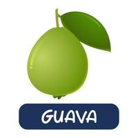 vector de fruta de guayaba de dibujos animados aislado sobre fondo blanco