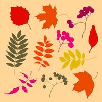 Variety of colorful trendy autumn leaves. Vector illustrations for web, app and print. Elegant shapes floristic isolated gradient leaves. Forest, botanical, minimalistic floral set.