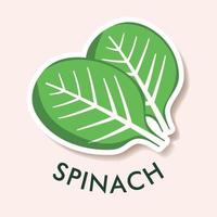 Flat illustration of spinach isolated on background. Simple icon for menu, smoothie recipes. Sticker object vector