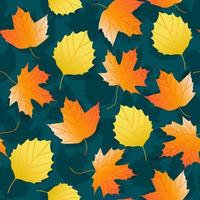 Pattern of variety of colorful trendy autumn leaves. Vector illustrations for web, app and print. Elegant shapes floristic isolated maple and oak leaves. Forest, botanical, minimalistic floral