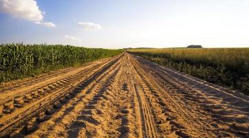 ruts from traffic photo