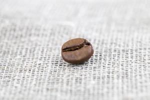 coffee grain, close up photo