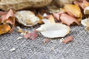 peeled nuts, close up photo