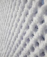 mesh covered with frost photo