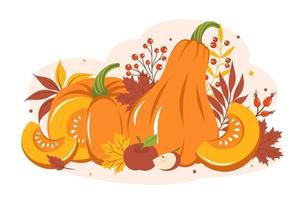 Pumpkin with autumn colorful leaves and fruit. Happy thanksgiving. Vector illustration for holiday greeting card, banner, poster