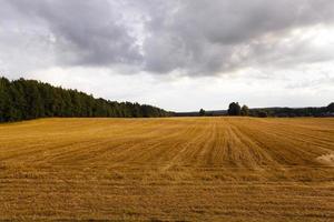 cloudy weather -, field photo