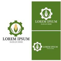 Corn agriculture icon and symbol vector template