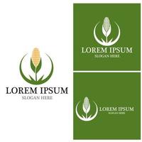 Corn agriculture icon and symbol vector template