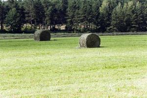 Photo agriculture, Europe